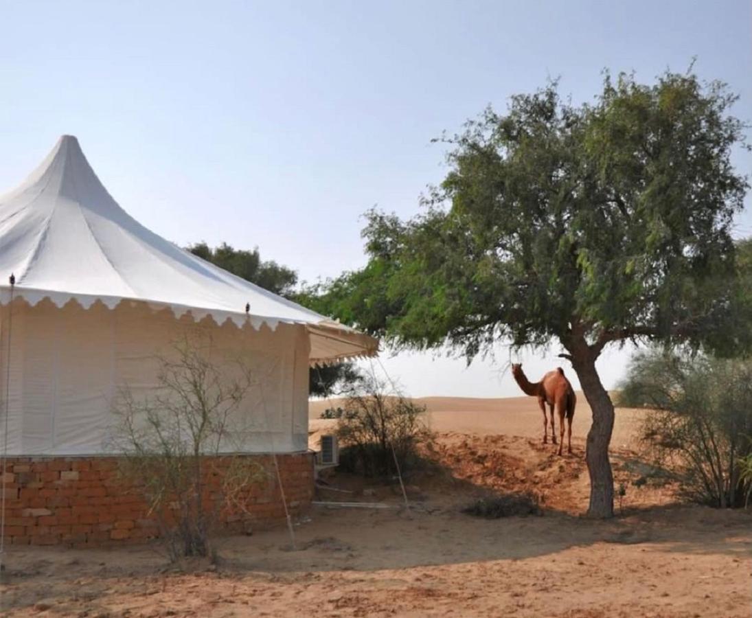 Wild Heritage Desert Camp Hotel Jaisalmer Exterior foto